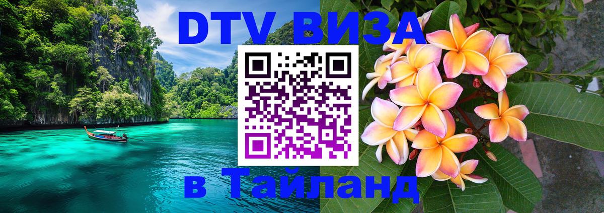 Сколько стоит DTV виза — актуальные цены, оформление даже без документов - 